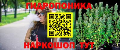 метадон Новодвинск