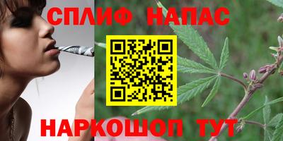 сатива Нягань