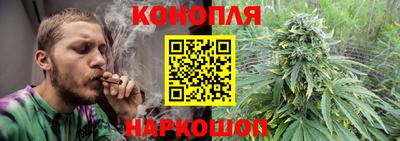винт Новозыбков