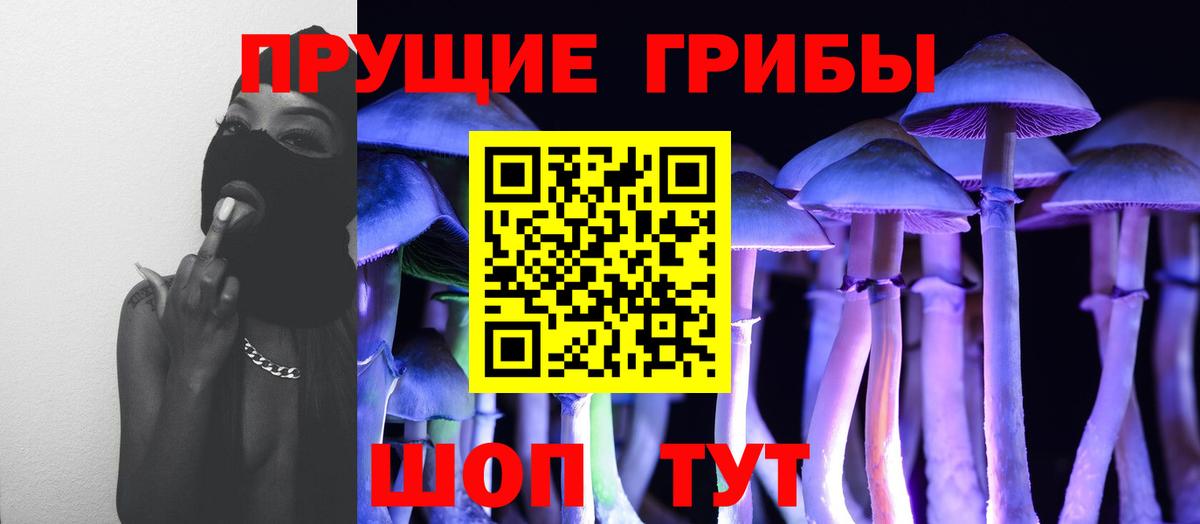 Юрга  Галлюциногенные грибы Cubensis  Вход с VPN  Псилоцибиновые грибы ЛСД 